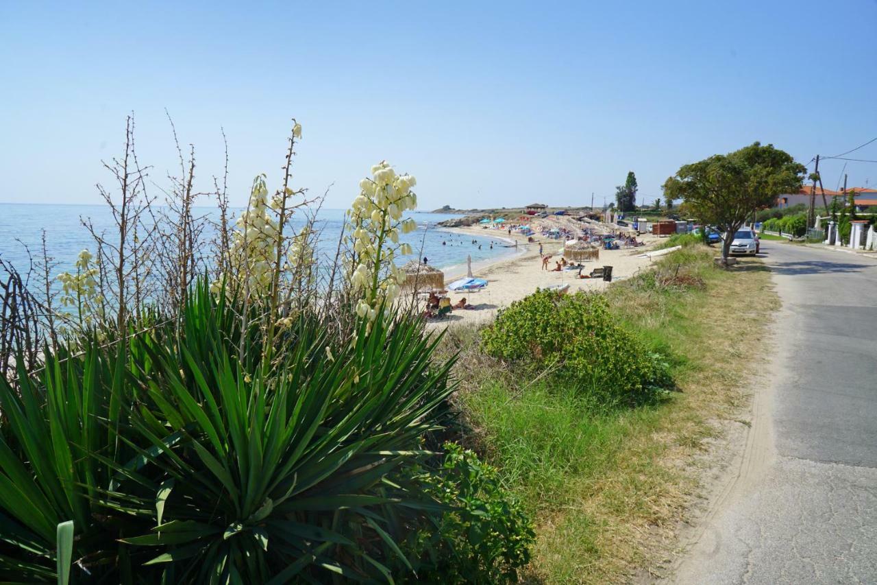 Avdira Seaside House Villa Exteriör bild